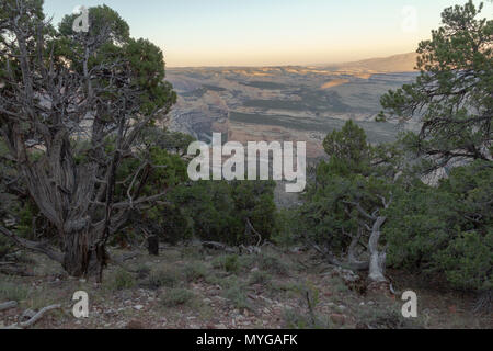 Blick auf Steamboat Rock und Jenny Lind Rock im Dinosaur National Park, Colorado. Stockfoto