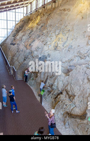 Besucher bewundern die Wand von 1500 Dinosaurier Dinosaurier Fossilien im Steinbruch Besucherzentrum im Dinosaur National Monument in Utah. Stockfoto