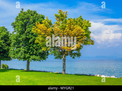 Den Gardasee. Italien. Stockfoto