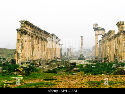 Große Kolonnade in Apamea in Nebel, teilweise zerstört, Syrien Stockfoto