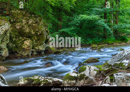 Schöne mountain river mit kleinen Kaskaden von Bäumen und Felsen in Serbien, Europa umgeben, in der Nähe von Stockfoto