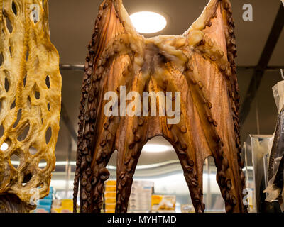 Getrockneten Tintenfisch, der in einem Stall am zentralen Markt in Valencia, Spanien, hängend Stockfoto