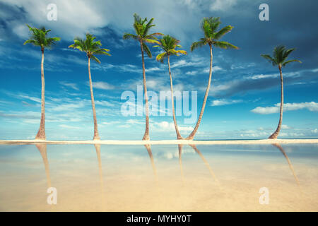 Kokosnuss Palmen am weißen Sandstrand von Punta Cana, Dominikanische Republik. Stockfoto