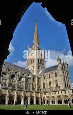 Norwich Cathedral Spire vom Kreuzgang zu Fuß Stockfoto