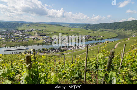 Piesport Panorama an der Mosel Deutschland. Stockfoto