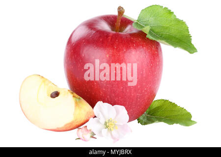 Apple Frucht rot Scheibe geschnitten Blüten auf weißem Hintergrund Stockfoto