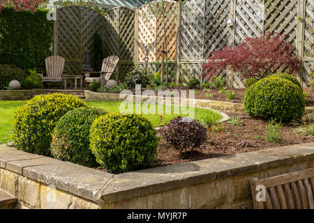 Ecke des schönen, gepflegten, privaten Garten mit zeitgenössischem Design, Pflanzen, Terrasse, box Kugeln & Rasen - Yorkshire, England, UK. Stockfoto