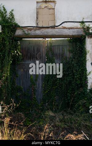 Tür links Haus und Weg zwischen der Vegetation abgerissen Stockfoto