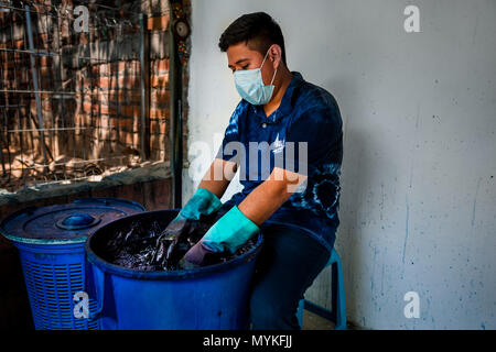 Eine Salvadorianische textile Dyer taucht ein Tuch gewickelt in die Indigo Färbebad gehalten in einem Handwerklichen Kleidung Workshop in Santiago Nonualco, El Salvador. Stockfoto