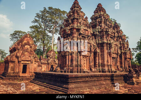 Banteay Srey - einzigartige Tempel aus rosa Sandstein. Angkor, Siem Reap, Kambodscha. Stockfoto