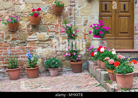 Töpfe von bunten Blumen außerhalb von Haus aus Stein im mittelalterlichen Dorf Stadt Monticchiello, in der Nähe von Pienza, Toskana, Italien im Mai Stockfoto