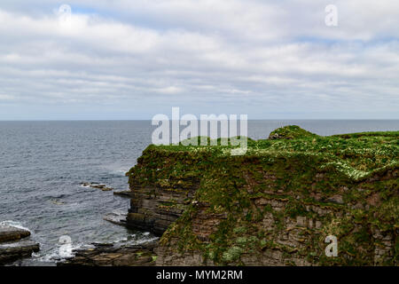 Die Küste in der Nähe von Nybster Broch, Caithness, Schottland. 22. Mai 2018 Stockfoto