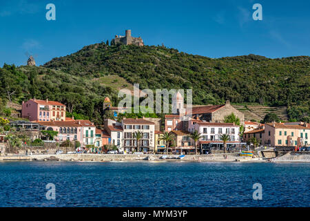 Collioure, Pyrénées-orientales, Frankreich Stockfoto