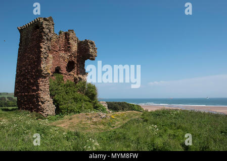 Lunan Bay, Angus, Schottland. Der Strand, die oft gestimmt haben, ist eines der besten in Schottland hat die wie rote Burg über das bekannte ruinieren. Stockfoto