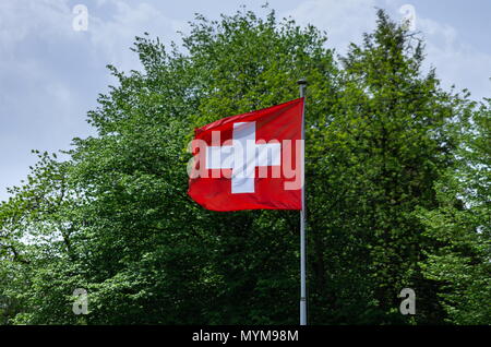 Schweizer Flagge gegen grüne Baum Stockfoto