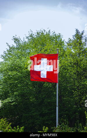 Schweizer Flagge gegen grüne Baum Stockfoto