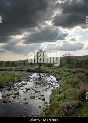 Dramatische Himmel über dem Fluss Hepste (Afon Hepste) Tir-yr-onen, in der Nähe von Brecon Beacons, Penderyn, Wales, Großbritannien Stockfoto