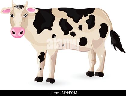Kuh isoliert auf weißem Vektor. Zeichentrickfigur ausführliche Darstellung Stock Vektor