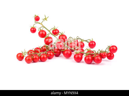 Zwei Zweige mit kleinen roten Kirschtomaten auf weißem Hintergrund Stockfoto