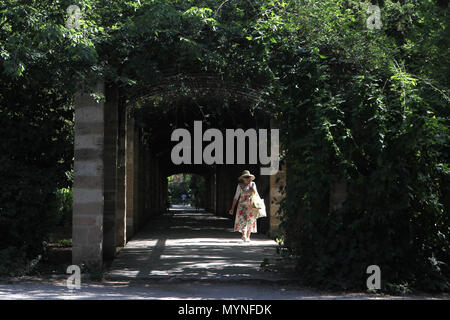 Nationaler Garten in Athen Griechenland Stockfoto