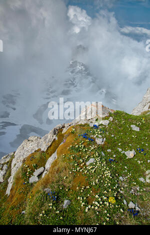 Europa, Schweiz, Appenzell, Berg Säntis Stockfoto