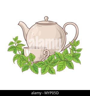 Melisse Tee Teekanne Abbildung auf weißem Hintergrund Stock Vektor