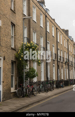 Reihe traditioneller gemauerter Reihenhäuser mit Fahrrädern, die an einem bewölkten Tag in einer ruhigen Wohnstraße in Cambridge, England, abgestellt werden. Stockfoto