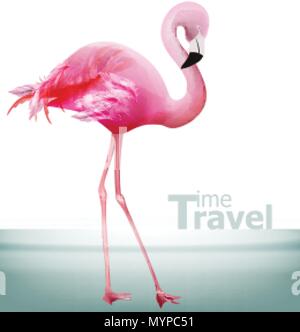 Flamingo-Vektor. Schöne rosa Vogel auf blauem Hintergrund Stock Vektor