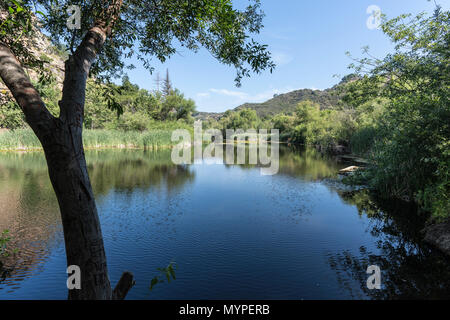Jahrhundert See im Malibu Creek State Park in den Santa Monica Mountains in der Nähe von Los Angeles, Kalifornien. Stockfoto