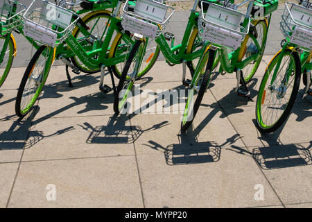 Berlin, Deutschland - Juni 2018: Viele elektrische Fahrräder der öffentlichen Bike-sharing Firma LimeBike in Berlin, Deutschland Stockfoto