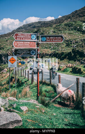 Verkehrszeichen an Molls Gap, ein Pass auf der N71 von Kenmare in Killarney im County Kerry, Irland Stockfoto