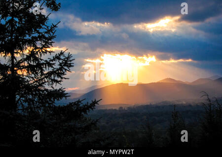 Sonnenstrahlen die Blue Ridge Berge durch die Silhouette von Blue Spruce Tree beleuchten. Asheville, North Carolina. Stockfoto