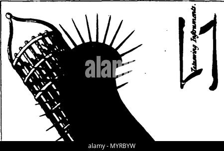 . Englisch: Fleuron aus Buch: Ein Rückblick auf die Reisen rund um die Welt, von den englischen Seefahrer durchgeführt werden, einschließlich derjenigen, die in letzter Zeit durchgeführt im Auftrag von Seiner Majestät. Die ganze treu extrahiert aus den Journalen der Reisenden. ... In vier Bänden. ... 335 Rückblick auf alle Weltreisen Fleuron T 002892-10 Stockfoto