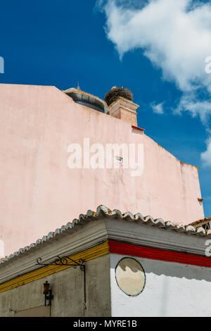 Weißstorch-Familie riesiges Nest mit Baby auf einem Dach in der Algarve, Portugal Stockfoto