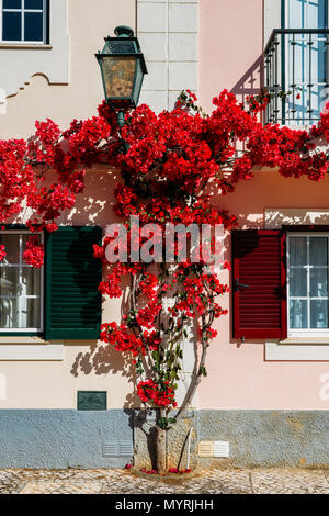 Haus gebaut im traditionellen portugiesischen Architektur und durch einen roten Bougainvillea in der Algarve, Portugal abgedeckt Stockfoto