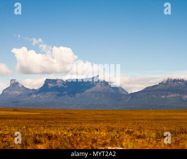 Allgemeine Ansicht eines Venezuelas Tepuys Stockfoto