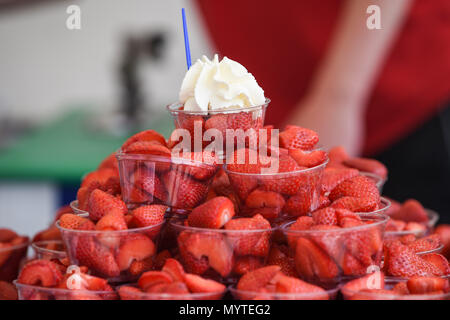 Ardingly UK 8 Juni 2018 - Erdbeeren und Sahne im Süden von England zeigen im schönen, sonnigen Wetter am Ardingly Ausstellungsgelände in der Nähe von Haywards Heath Sussex Foto von Simon DackCredit: Simon Dack/Alamy leben Nachrichten Stockfoto