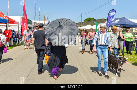 Ardingly UK 8 Juni 2018 - Diese Dame bleibt im Schatten unter Ihrem Sonnenschirm im Süden von England zeigen im schönen, sonnigen Wetter am Ardingly Ausstellungsgelände in der Nähe von Haywards Heath Sussex Foto von Simon DackCredit: Simon Dack/Alamy leben Nachrichten Stockfoto