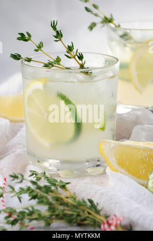 Cocktail auf der Basis von Gin, Zitronensaft oder Limettensaft und Noten von Thymian. Sie sich mit einem erfrischenden Cocktail an einem sommerlichen Tag verwöhnen. Stockfoto