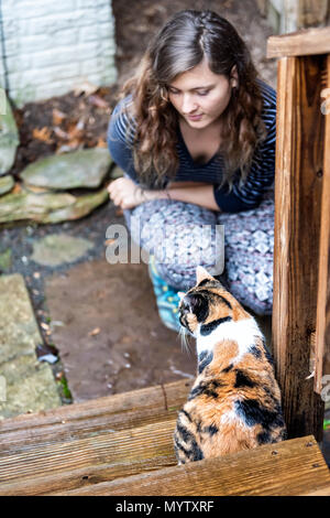 Calico Cat neugierig Sitzen erkunden Haus Garten mit Terrasse, Garten, nasses Holz Territorium durch Frau Mädchen Eigentümer Stockfoto