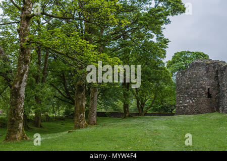 Torlundy, Schottland - Juni 11, 2012: Waldgebiet umgibt Inverlochy Castle unter grauem Himmel. Eckturm und Naturstein defensive Burg Wand. Stockfoto