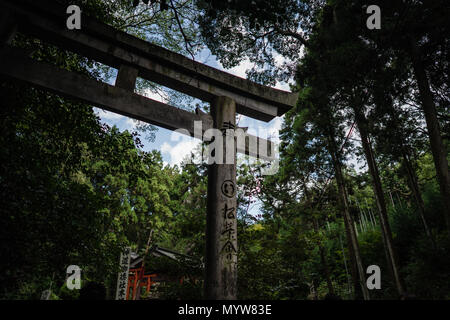 Fushimi Inari-taisha Stockfoto