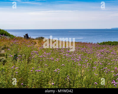 Paar genießen die Aussicht, Le Gräber Trail, Forillon National Park, Gaspe Halbinsel, Kanada. Stockfoto