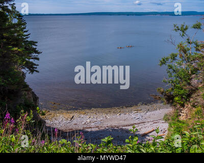 Kayaker paddeln an einem Strand entlang Le Gräber Trail, Forillon National Park, Gaspe Halbinsel, Kanada. Stockfoto