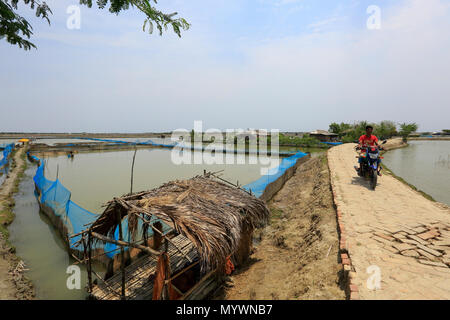 Anzeigen eines trockenen Aue bei Gabura union in Shyamnagar Upajila unter Satkhira Bezirk von Bangladesch. Zyklon Aila überflutet dieser Bereich im Jahr 2009, t Stockfoto