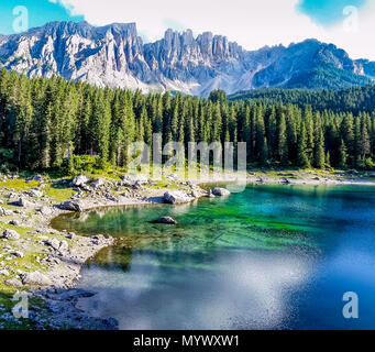 Hund an einem Wasserfall in der Wüste starrte Stockfoto