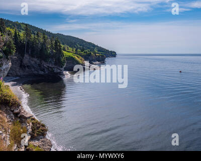 Klippen, Le Gräber Trail, Forillon National Park, Gaspe Halbinsel, Kanada. Stockfoto