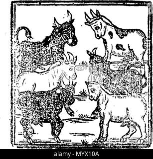 . Englisch: Fleuron aus Buch: Aristoteles' letztes Vermächtnis: oder, seinem goldenen Kabinett des Schreckens geöffnet, für herrliche Freizeitbeschäftigung der Jugend. I. eine compleat English Wahrsagerin. ... Vii. Die Stadt und Land Narr; ... Zu denen hinzugefügt wird, werden die meisten complaet [sic] canting Wörterbuch. Ins Englische übersetzt von Dr. Saman, ... 376 Aristoteles letztes Vermächtnis - oder seinen goldenen Kabinett des Schreckens geöffnet, für die Jugendlichen aus angenehmen Zeitvertreib Fleuron T 117397-61 Stockfoto