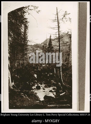 Call #: MSS P24 übergroßen Box. 799 MSS P 24. ca. 1869 16 in der Nähe von Brighton Cottonwood Utah. Stockfoto