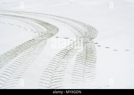 Eisbär (Ursus maritimus) entlang der Küste der Hudson Bay, Wapusk National Park, Cape Churchill, Manitoba, Kanada Stockfoto